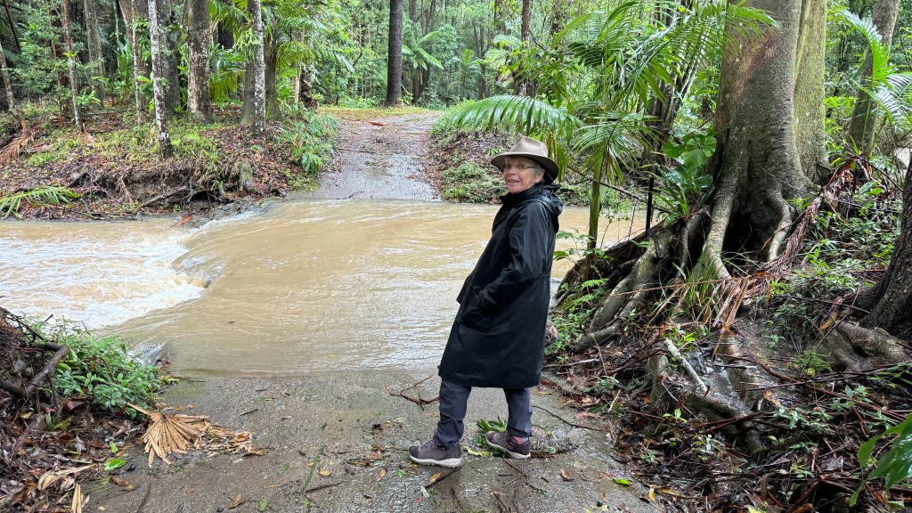 A person wearing a hat and a black raincoat stands by a muddy path next to a flowing stream in a lush, green forest.
