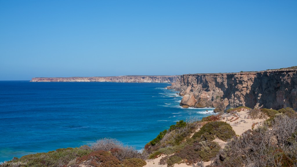 A panoramic view of rugged coastal cliffs meeting the deep blue ocean, with clear skies and coastal vegetation in the foreground.