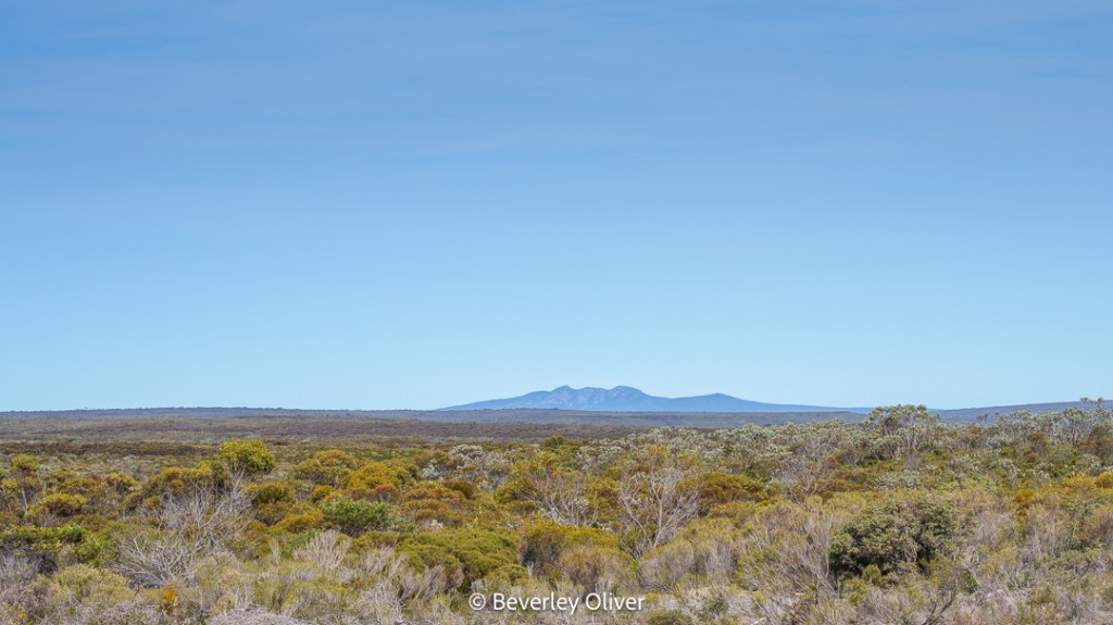 A panoramic view of a landscape with rolling hills and distant mountains under a clear blue sky.