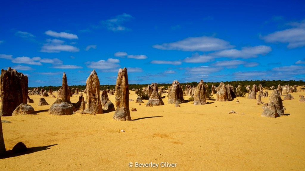 A panoramic view of the Pinnacles Desert featuring tall limestone formations against a backdrop of blue sky and scattered clouds.