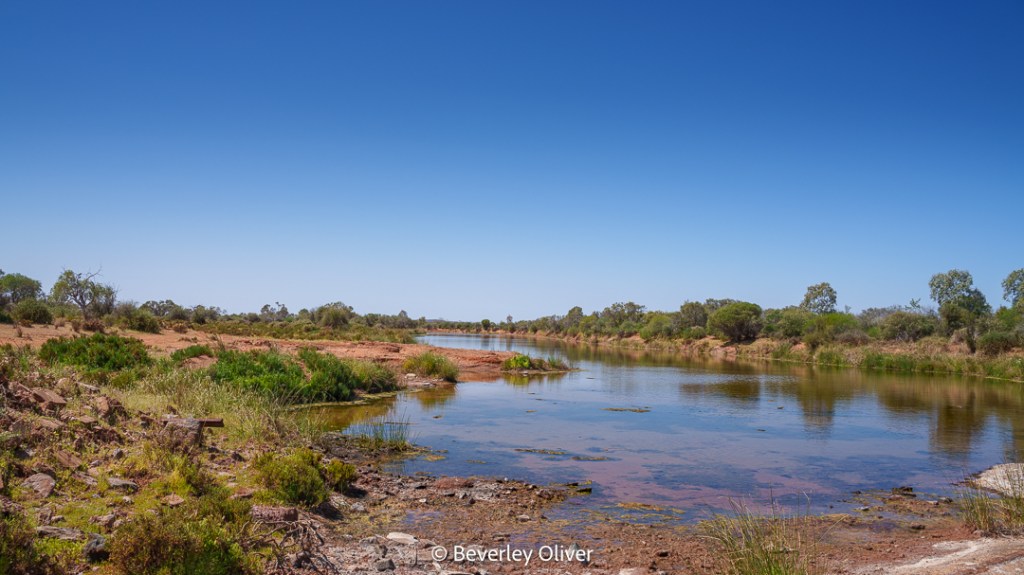 A serene river landscape featuring calm waters surrounded by lush greenery and rocky banks under a clear blue sky.