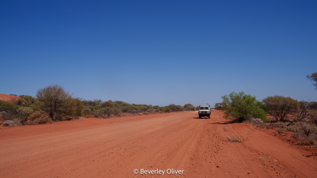 A dirt road in a red desert landscape with sparse vegetation and a white vehicle driving down the road under a clear blue sky.