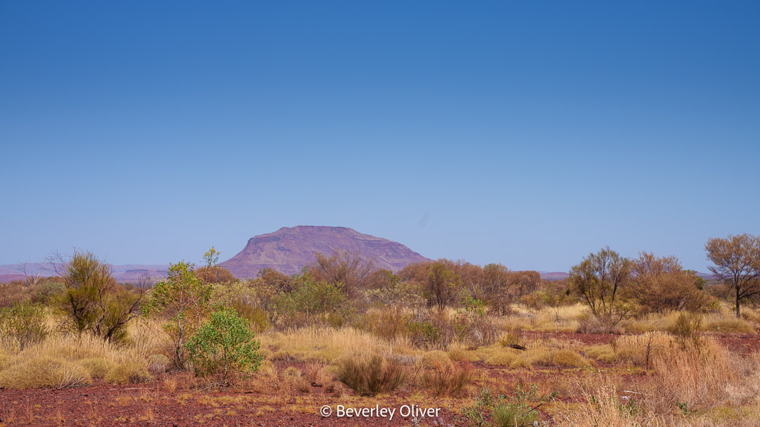 Scenic view of a desert landscape featuring dry grass, shrubs, and a distant mountain under a clear blue sky.