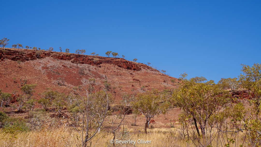 Red rocky hillside under a clear blue sky, with sparse trees and grass in the foreground.