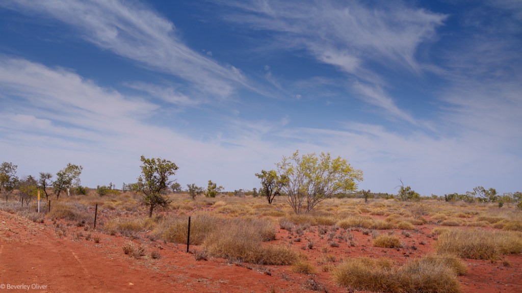A red desert landscape featuring sparse vegetation, small trees, and a clear blue sky with wispy clouds.