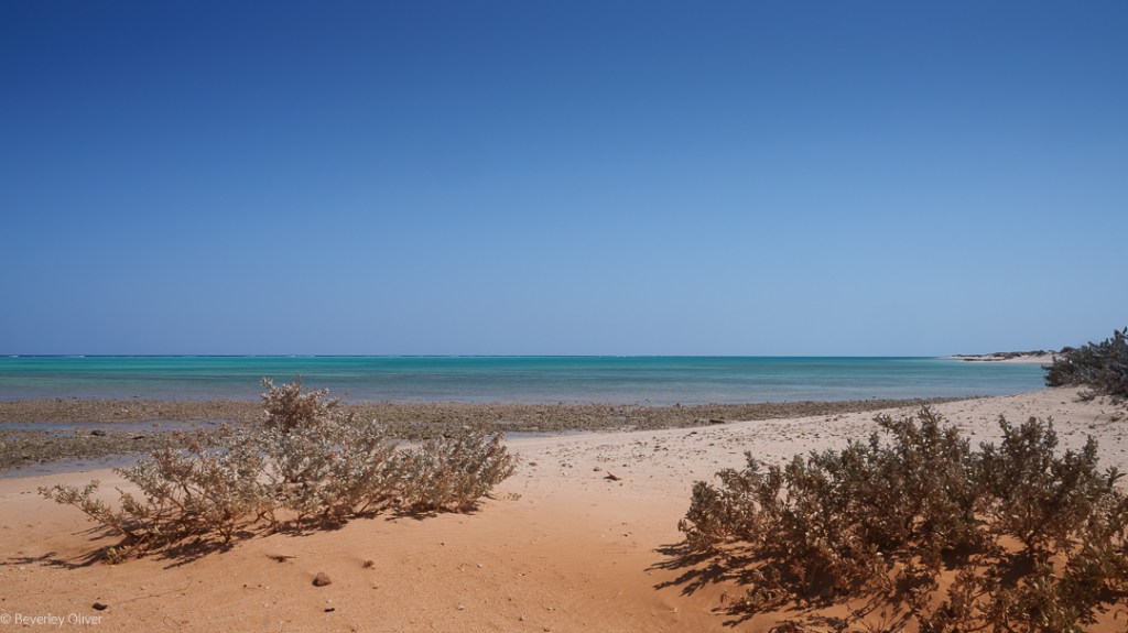 A tranquil beach scene featuring sandy shorelines, gentle waves, and clear turquoise waters under a bright blue sky.