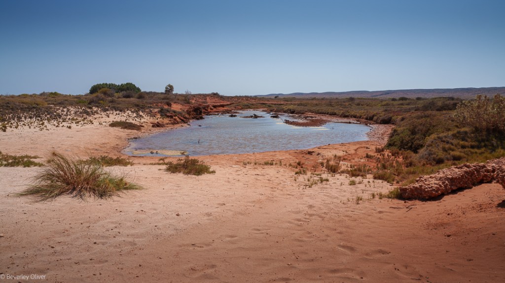A scenic view of a sandy landscape with a winding river surrounded by natural vegetation and distant hills under a clear blue sky.