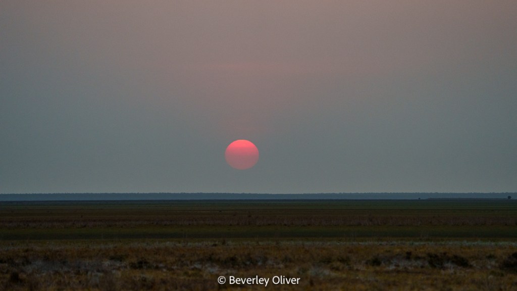 A serene landscape showcasing a sunset with a large pink sun near the horizon, set against a gradient sky.