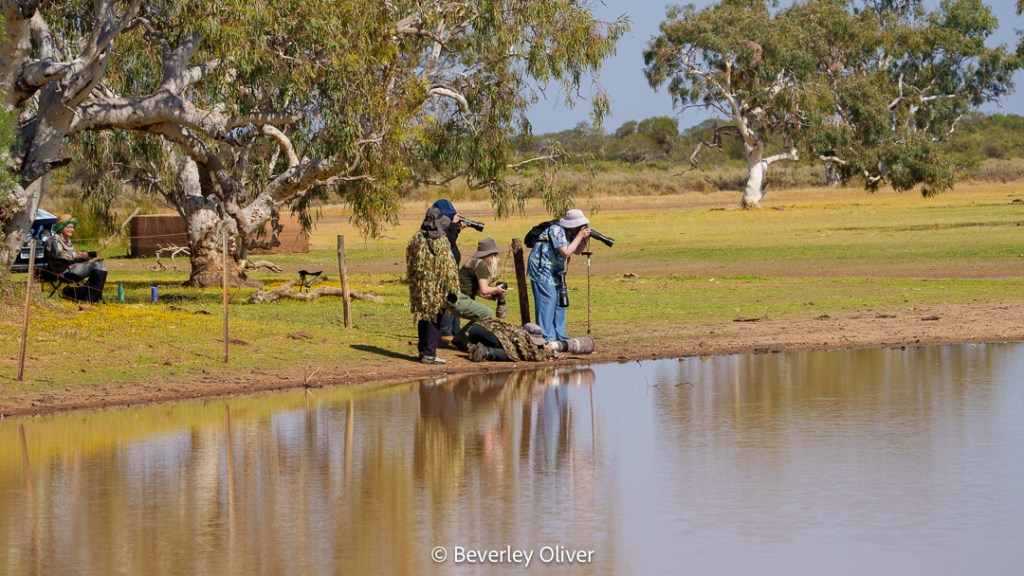 Four people by a pond surrounded by trees, with one person using binoculars, while others are seated and observing the scenery.
