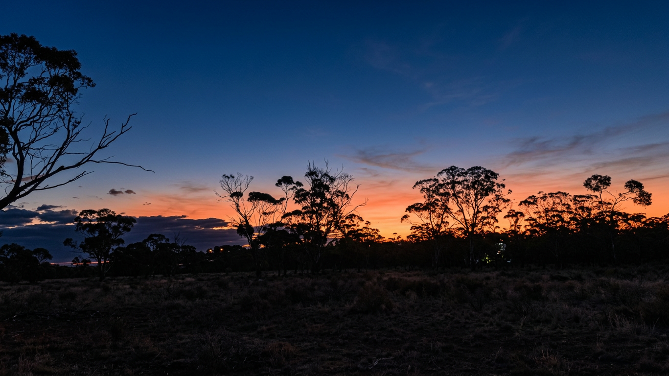 dsc02766_orig