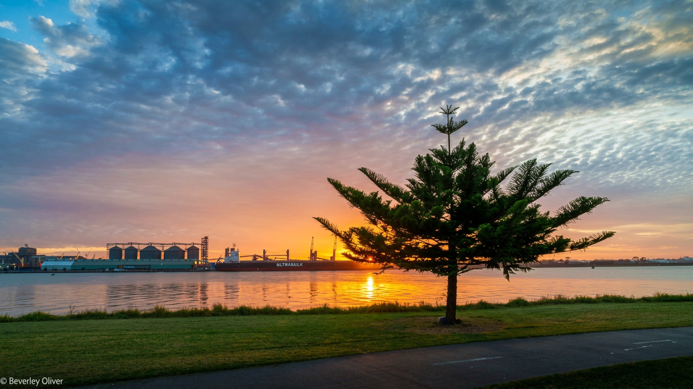 A serene waterfront scene at sunset, featuring a silhouetted tree in the foreground, with a vibrant orange and purple sky reflecting on the water, and industrial buildings and a ship in the background.