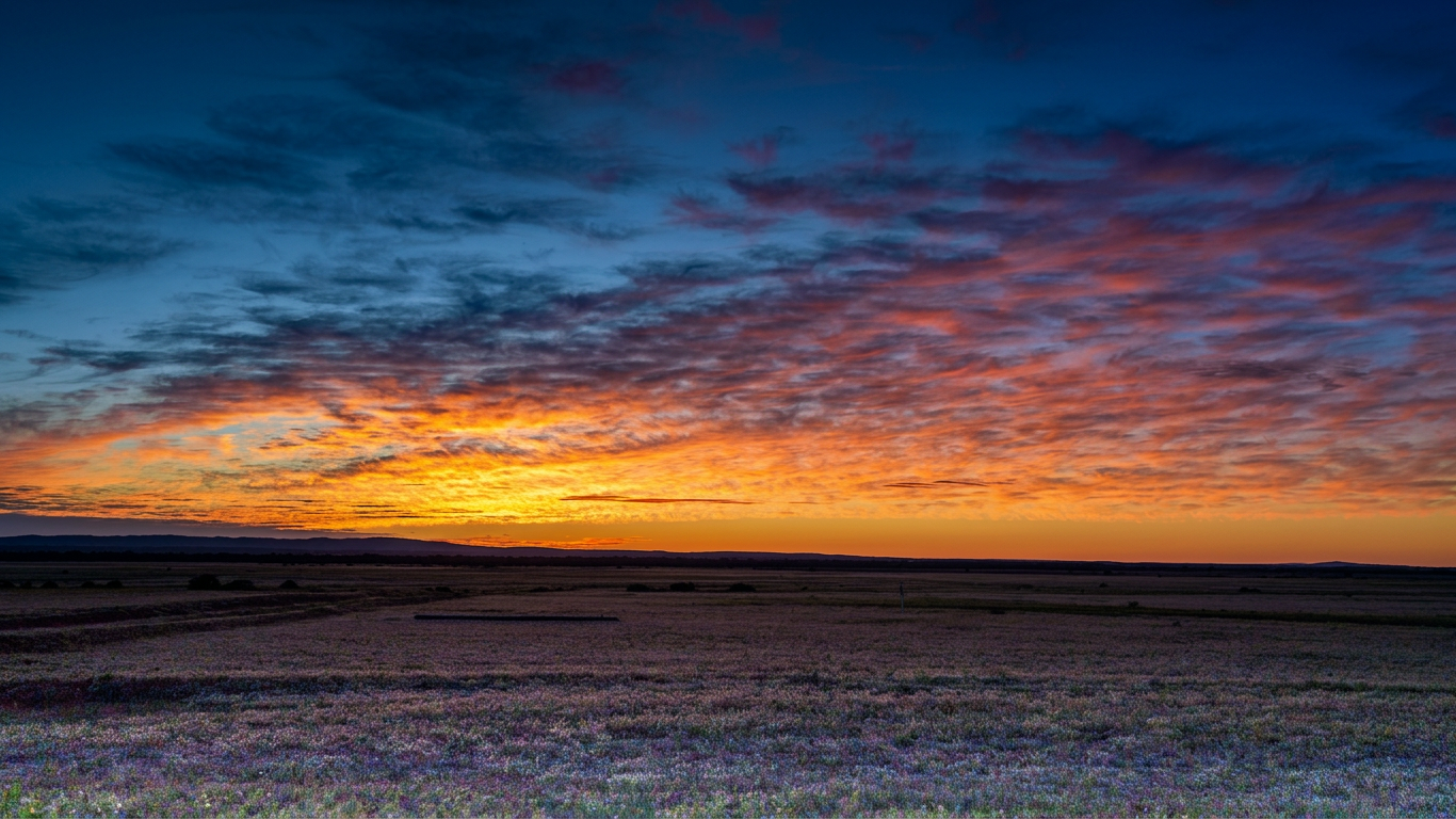 A vivid sunset with colorful clouds over a flowering field, showcasing shades of orange, pink, and blue in the sky.