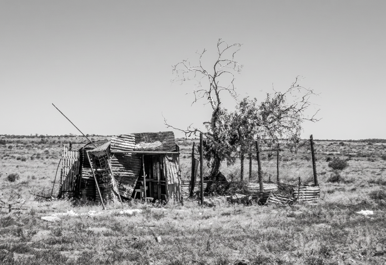 A desolate, black-and-white image of a rundown shack made of sheet metal and wood, surrounded by sparse grassland and a leafless tree.