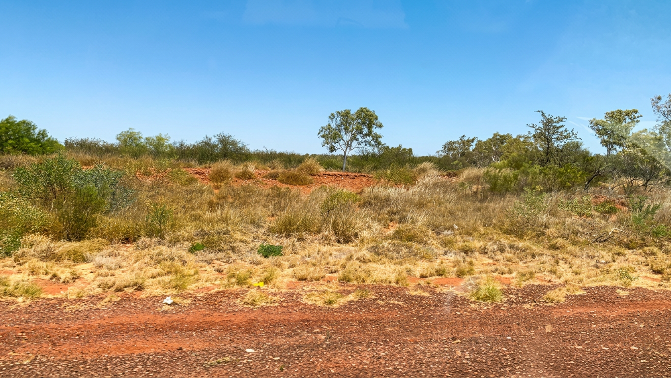 A dry landscape featuring reddish soil, scattered vegetation, and a few trees under a clear blue sky.