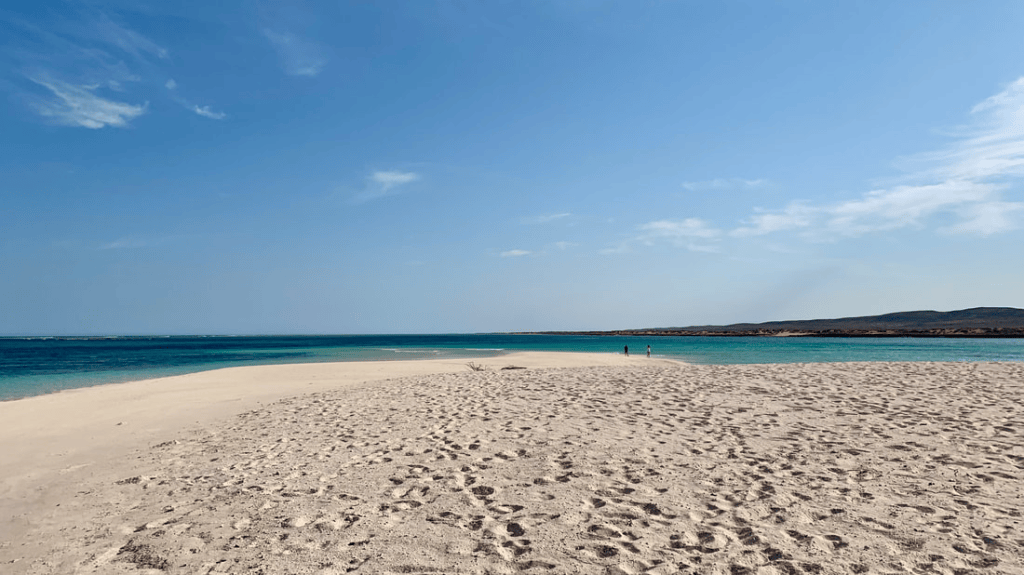 A sandy beach with footprints leading to calm turquoise waters under a clear blue sky.