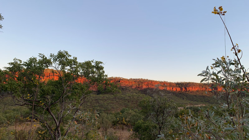 Scenic view of a vibrant red rock formation at sunset, surrounded by green foliage and a clear sky.