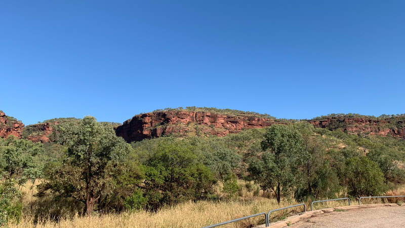 A scenic view of red rock formations surrounded by green trees and grass under a clear blue sky.