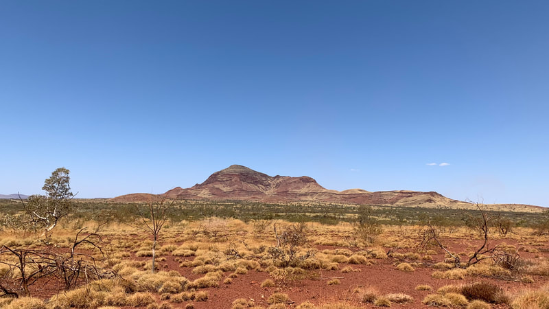 A wide view of a desert landscape featuring a mountain in the background, surrounded by sparse vegetation and a clear blue sky.