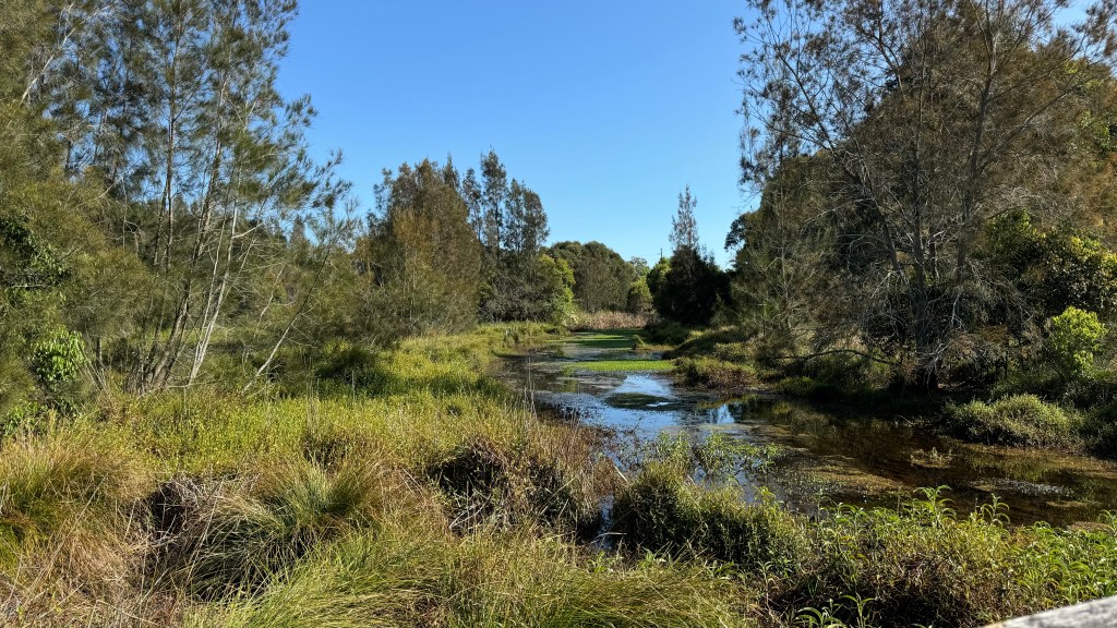 A serene landscape featuring a calm river surrounded by lush green grass and trees under a clear blue sky.